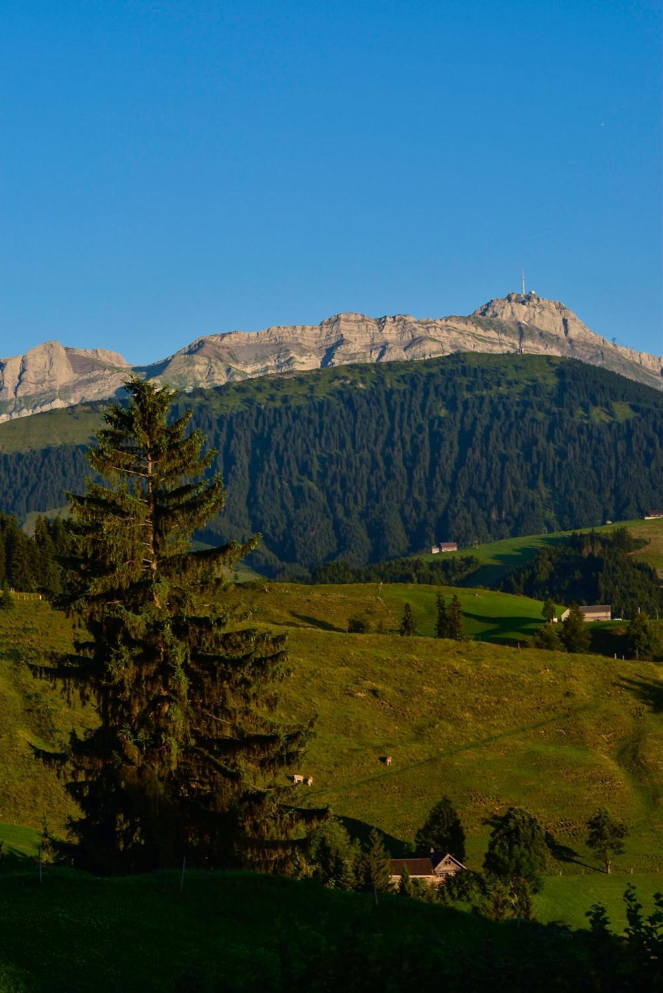 Ferienwohnung In Buehler Naehe Appenzell Buhler エクステリア 写真